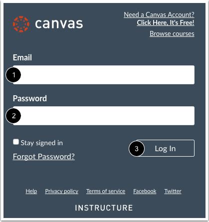 Canvas Login 